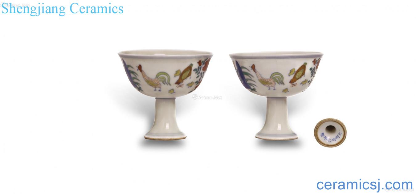 Dou colored flowers golden pheasant grain footed cup