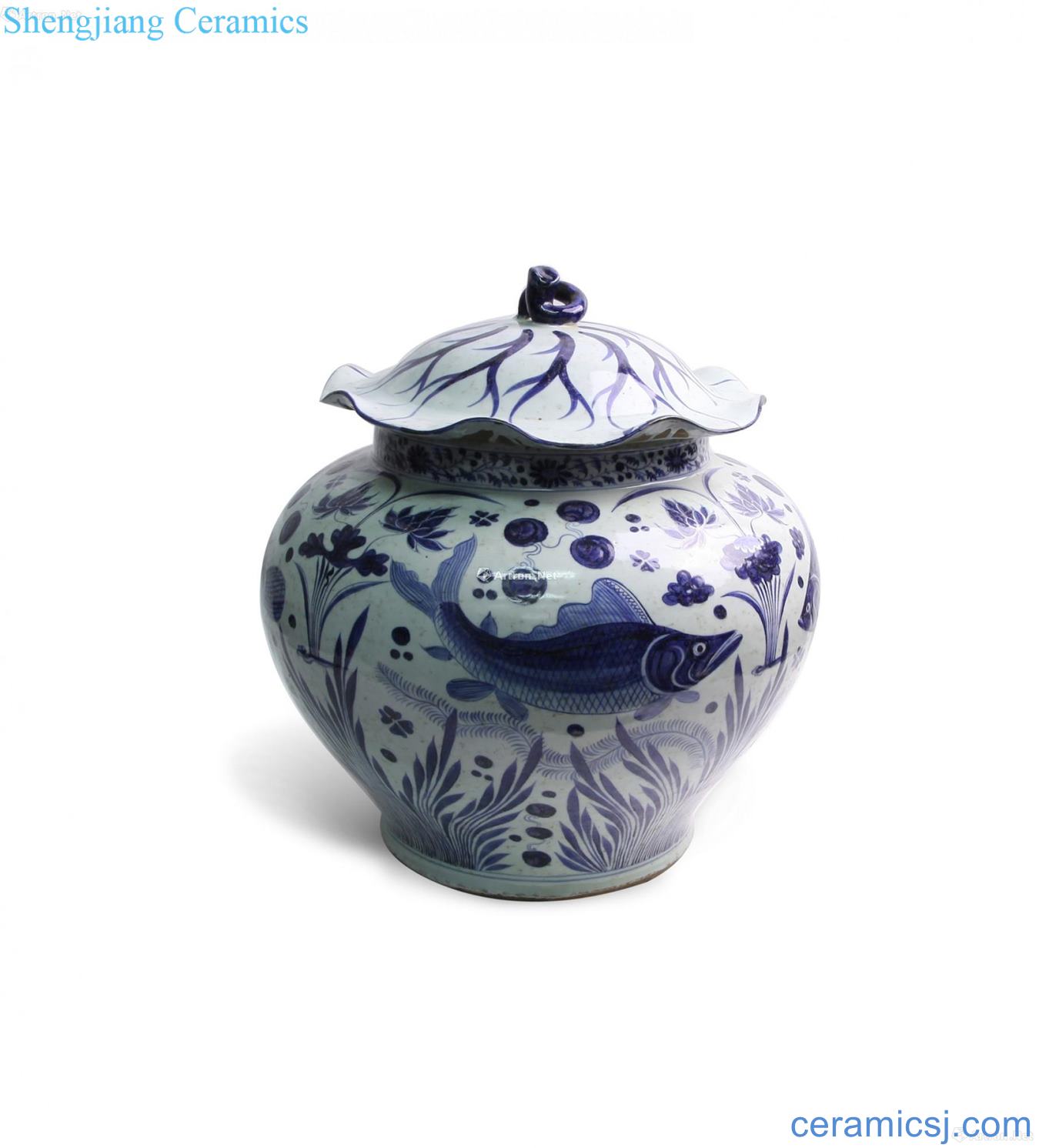 Blue and white lotus leaf cover pot fish algae grain