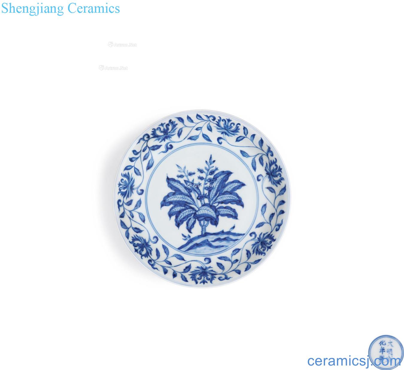 in Blue and white gardenia flower disc