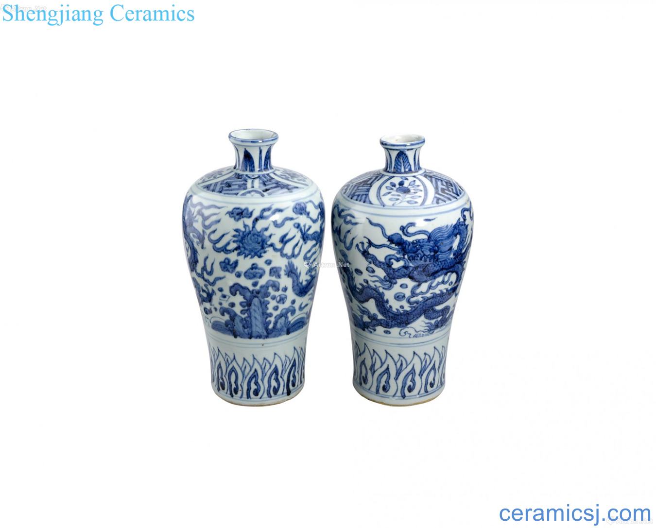 Blue and white dragon plum bottle (a)