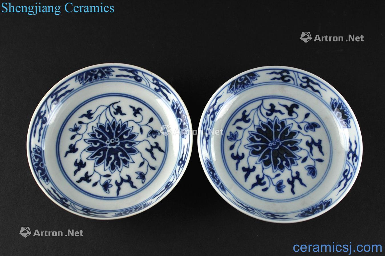 Qing guangxu Kiln porcelain's lotus pattern plate (a)