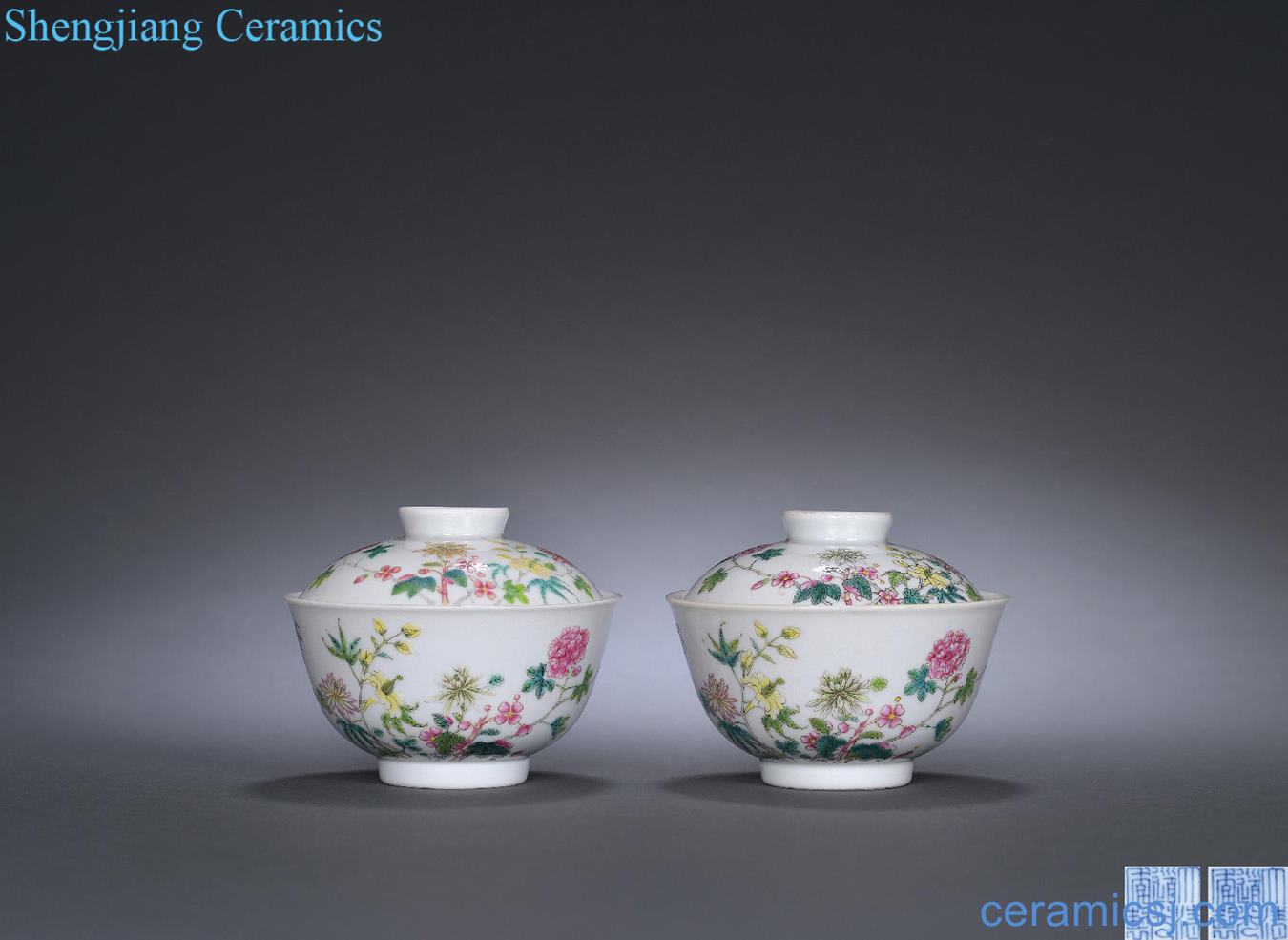 Qing daoguang Pastel 9 autumn tureen (a)