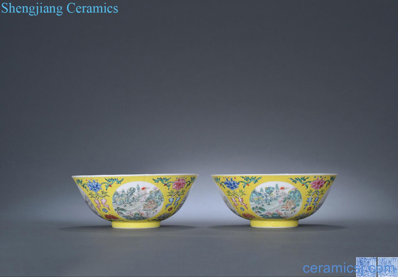 Qing daoguang (a) to pastel yellow medallion landscape figure bowl