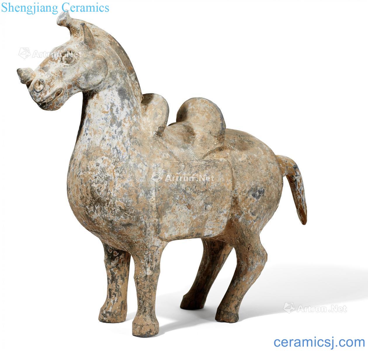 Western jin dynasty, 265-265 Pottery add horse