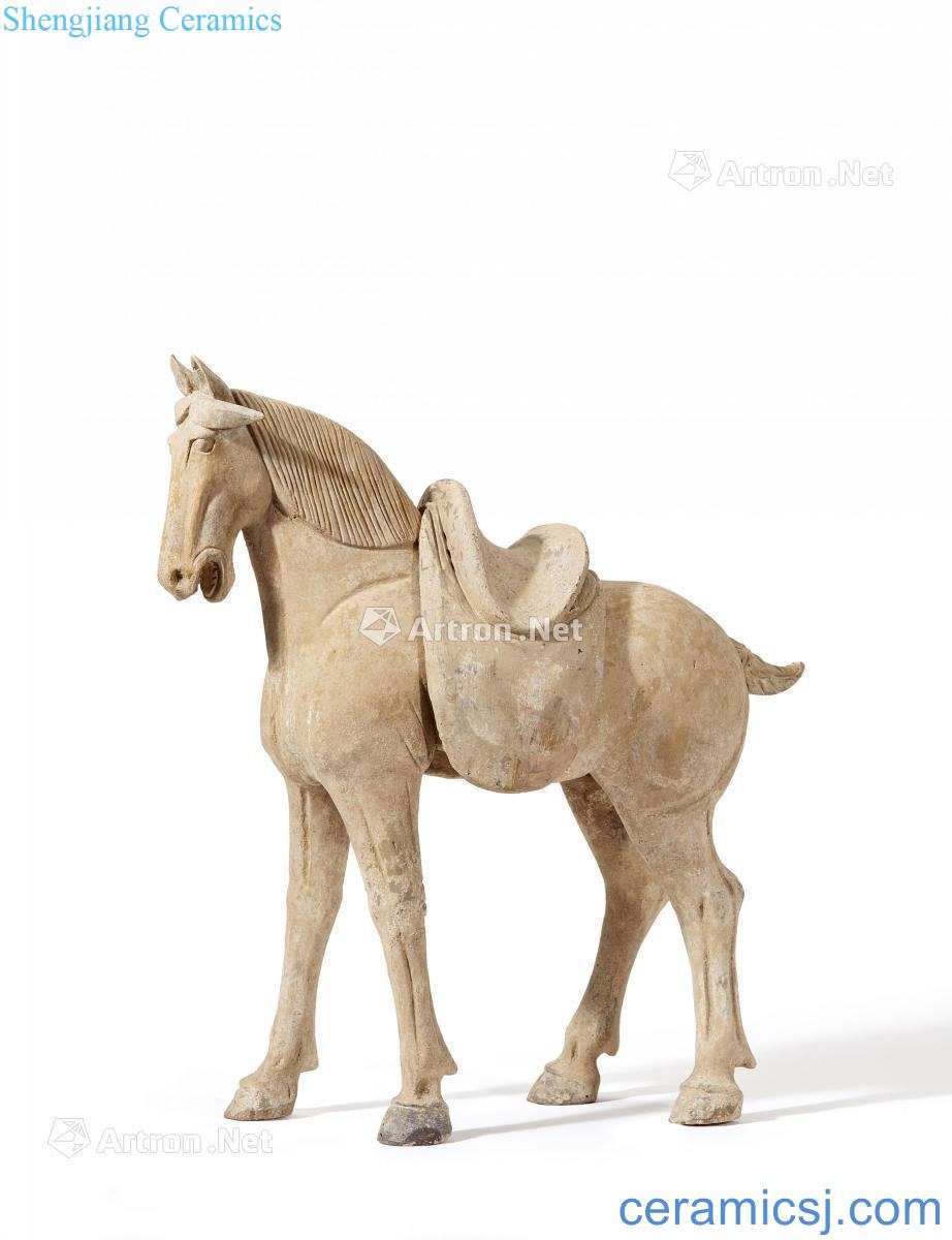 Early in the eighth century tang pottery add the horse