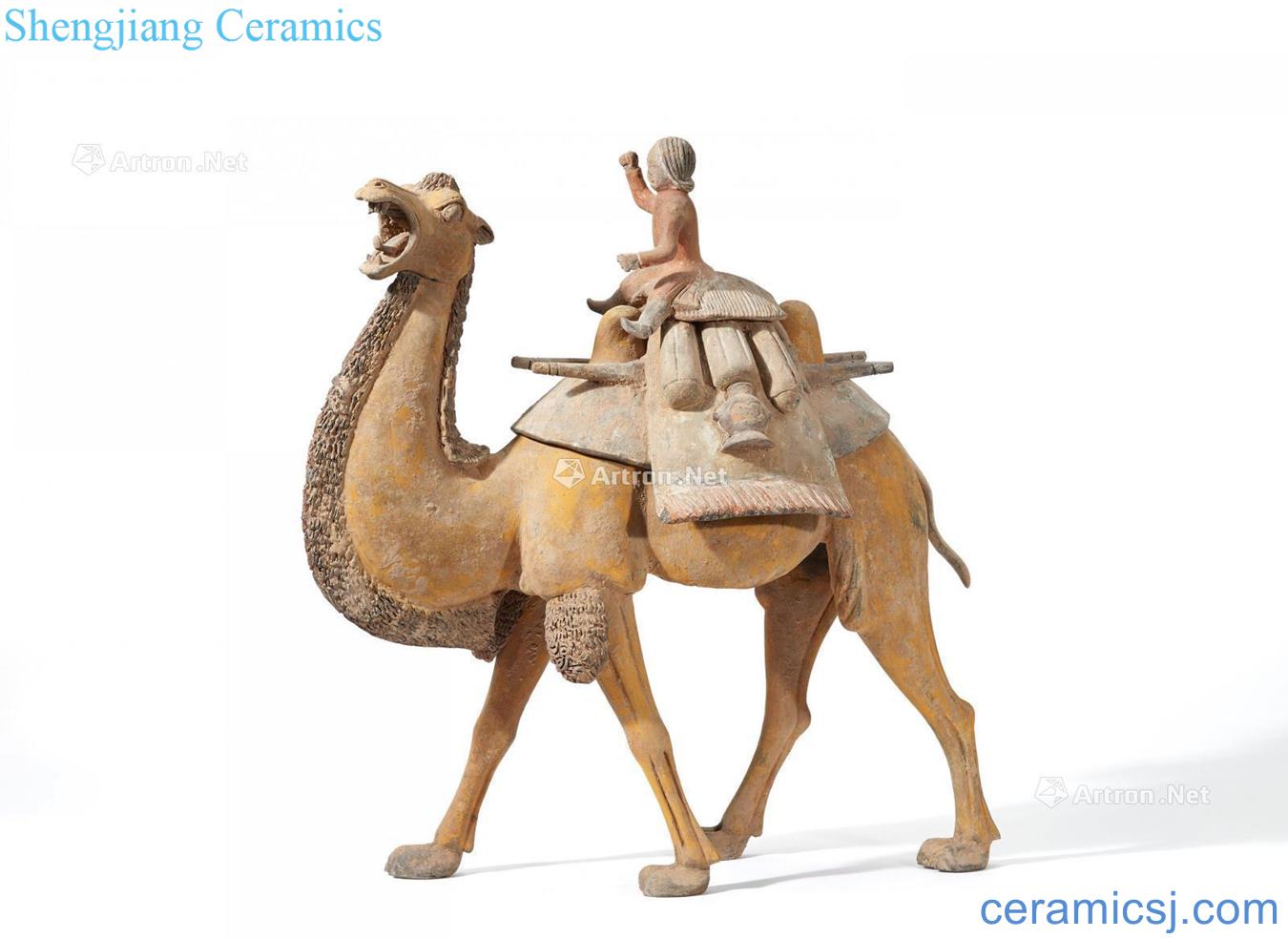 The early 7th century late tang The western people ride a camel terracotta figures