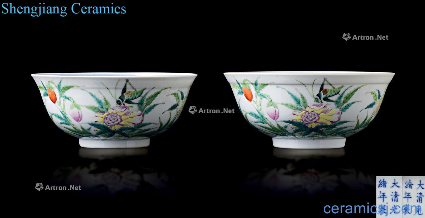 China, the qing dynasty emperor guangxu Inside the kiln porcelain pastel flowers outside the lines to the bowl