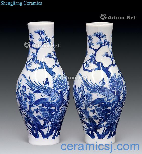 The qing emperor kangxi Blue and white flower bottle (a)