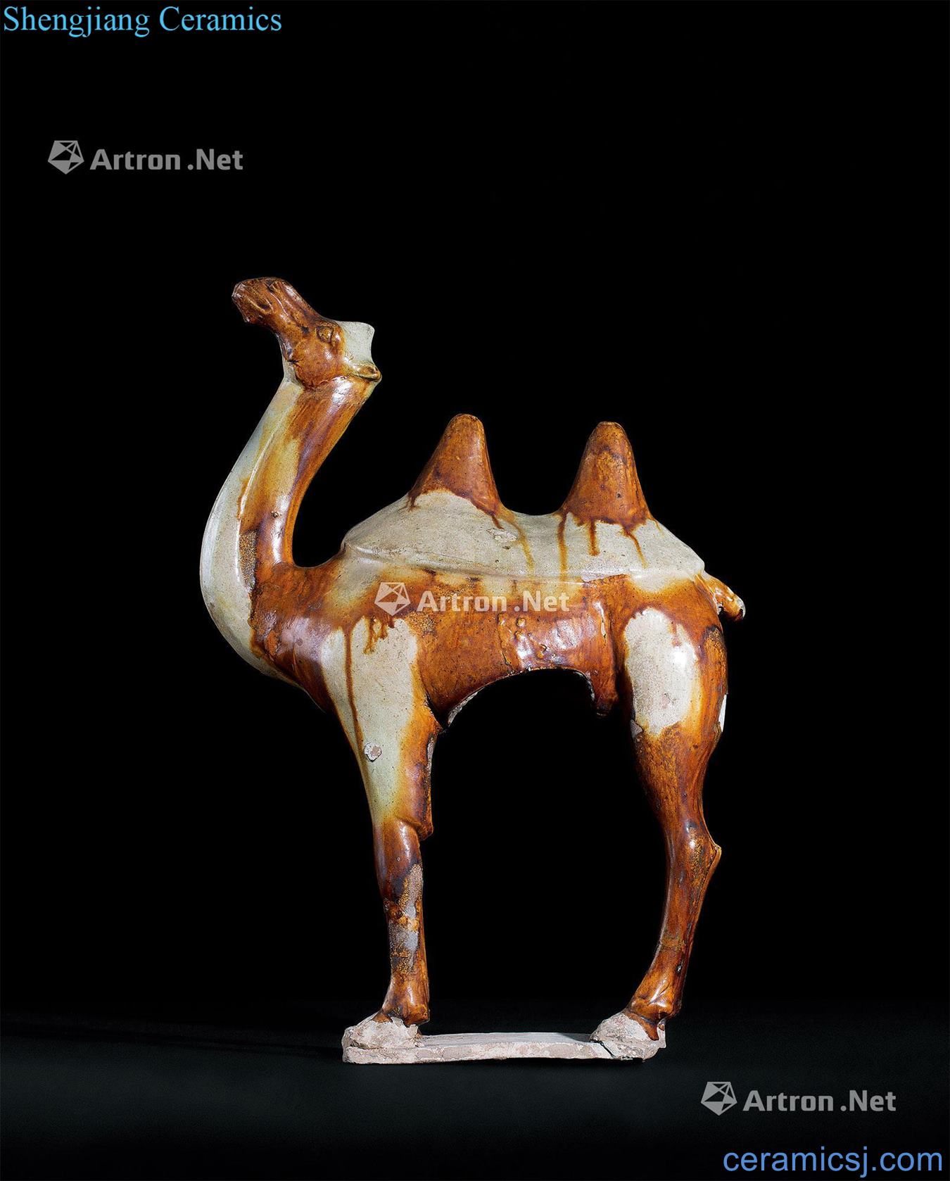 Tang three-color stands resemble a camel