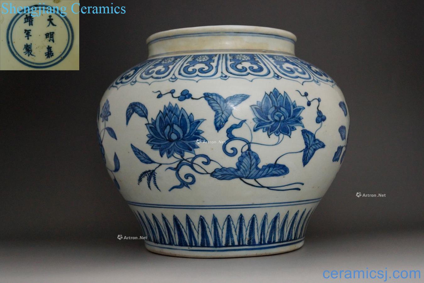 Ming jiajing Blue and white four seasons flower pot