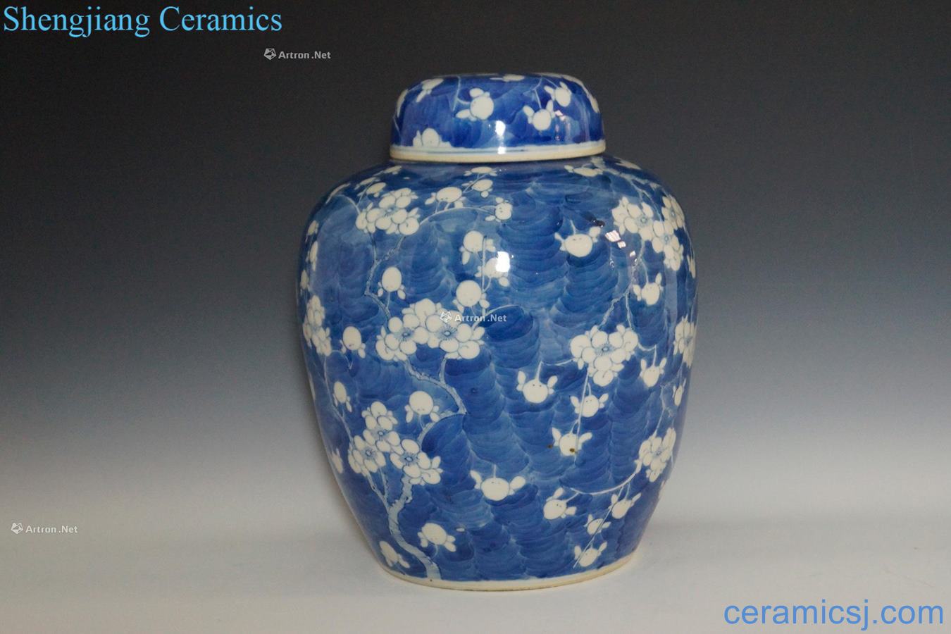 Qing guangxu Blue and white ice may cover tank