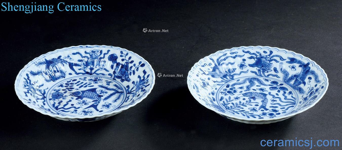 qing Blue and white fish and algae grain disc (a)