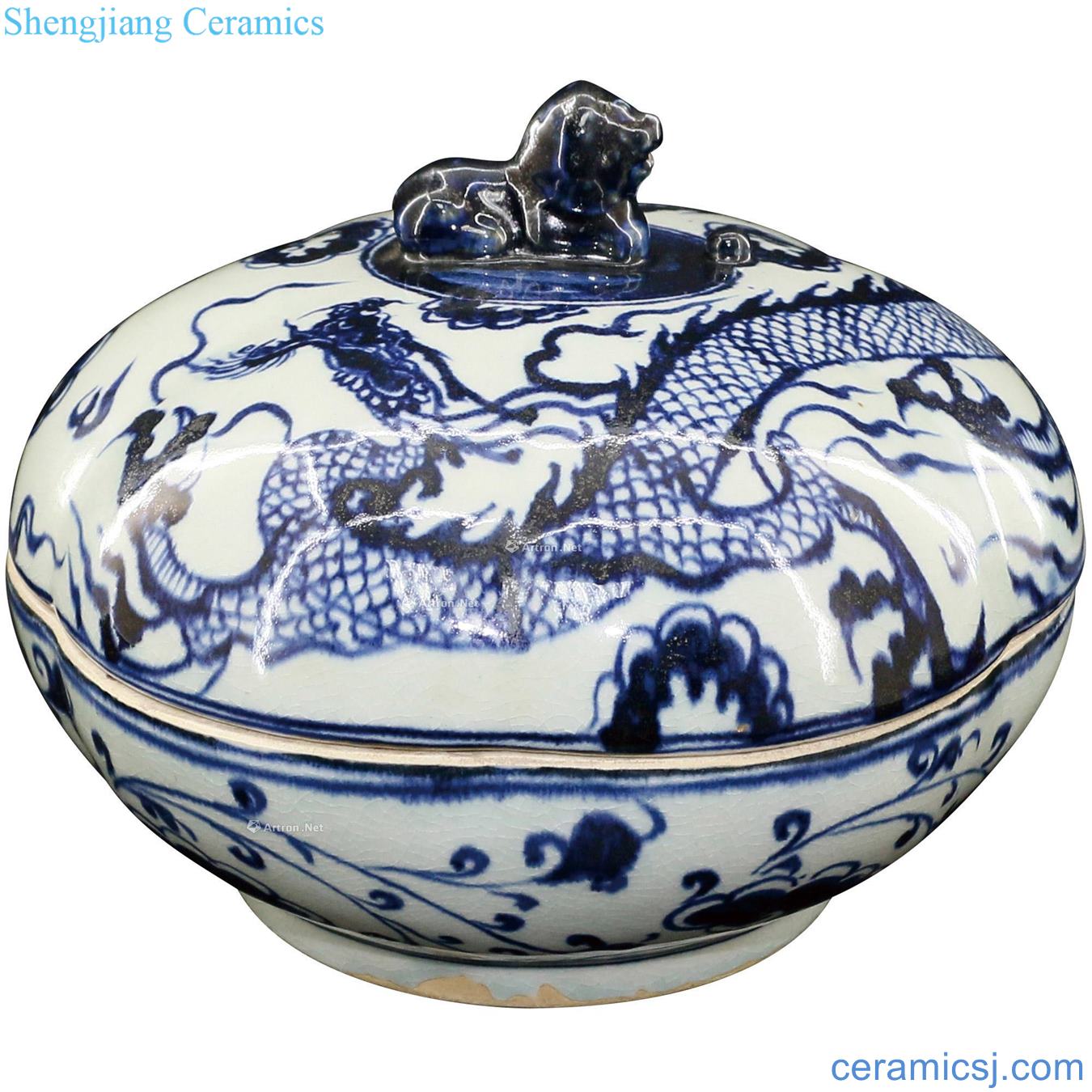 Ming Blue and white dragon box