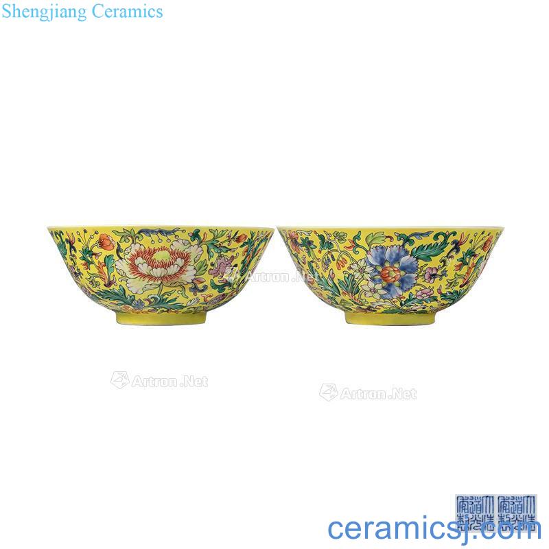 To the yellow flower colors branches green-splashed bowls (a)