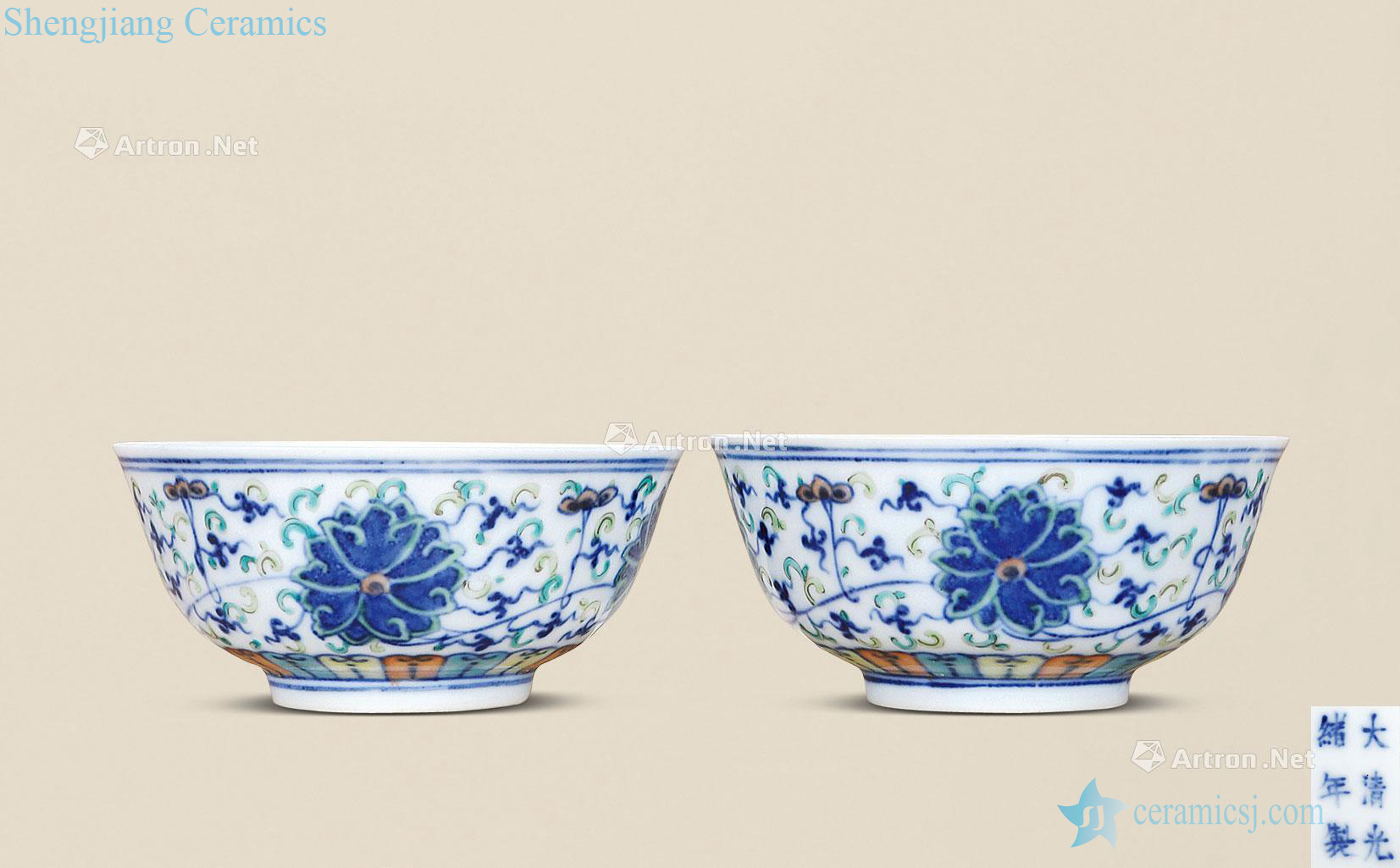 Qing guangxu The blue bucket colors branch lotus bowl (a)