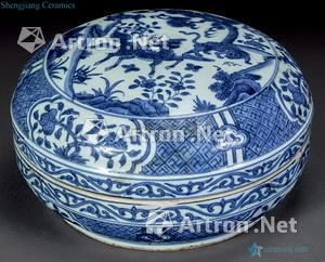 Ming Blue and white flowers and birds with box