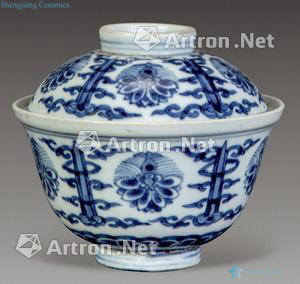 qing Blue and white flowers tureen