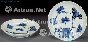 qing Blue and white lotus, (2)