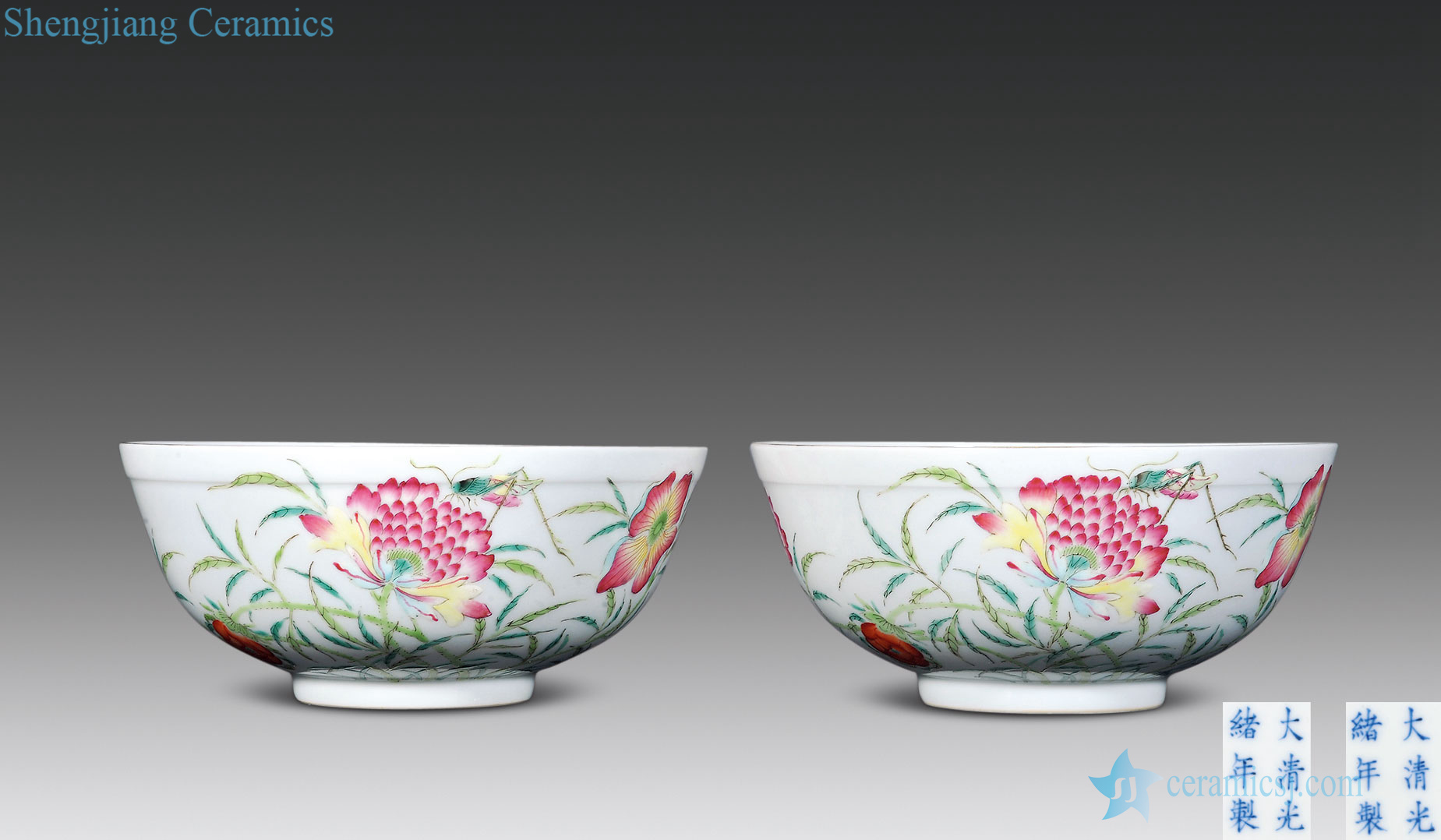 In the qing dynasty blue and white lotus pattern outside the famille rose flower insect green-splashed bowls (a)