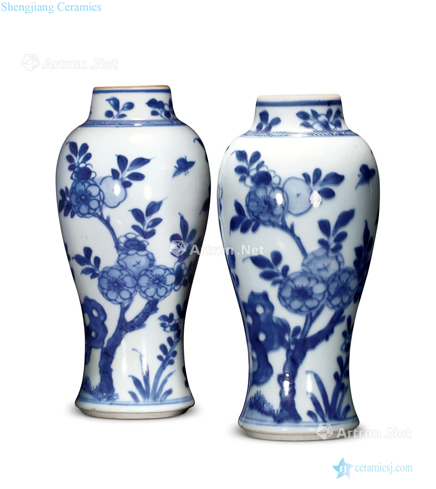 Qing dynasty blue and white plum bottle (a)