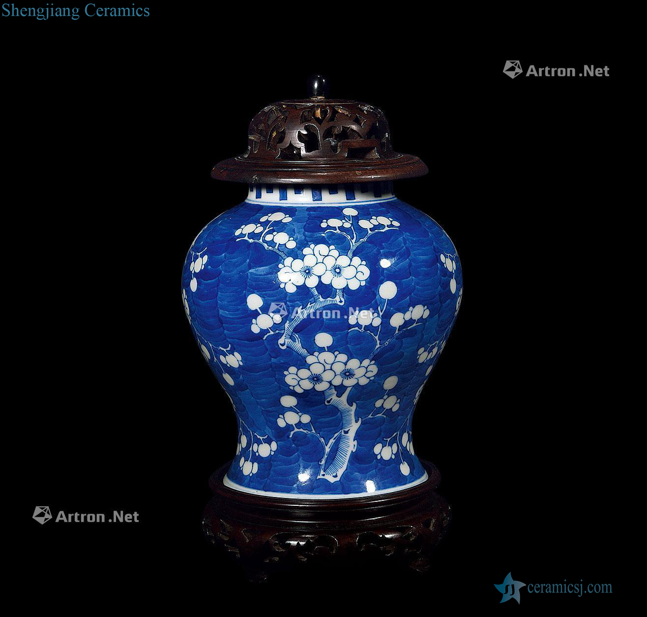 qing Blue and white ice plum the general tank