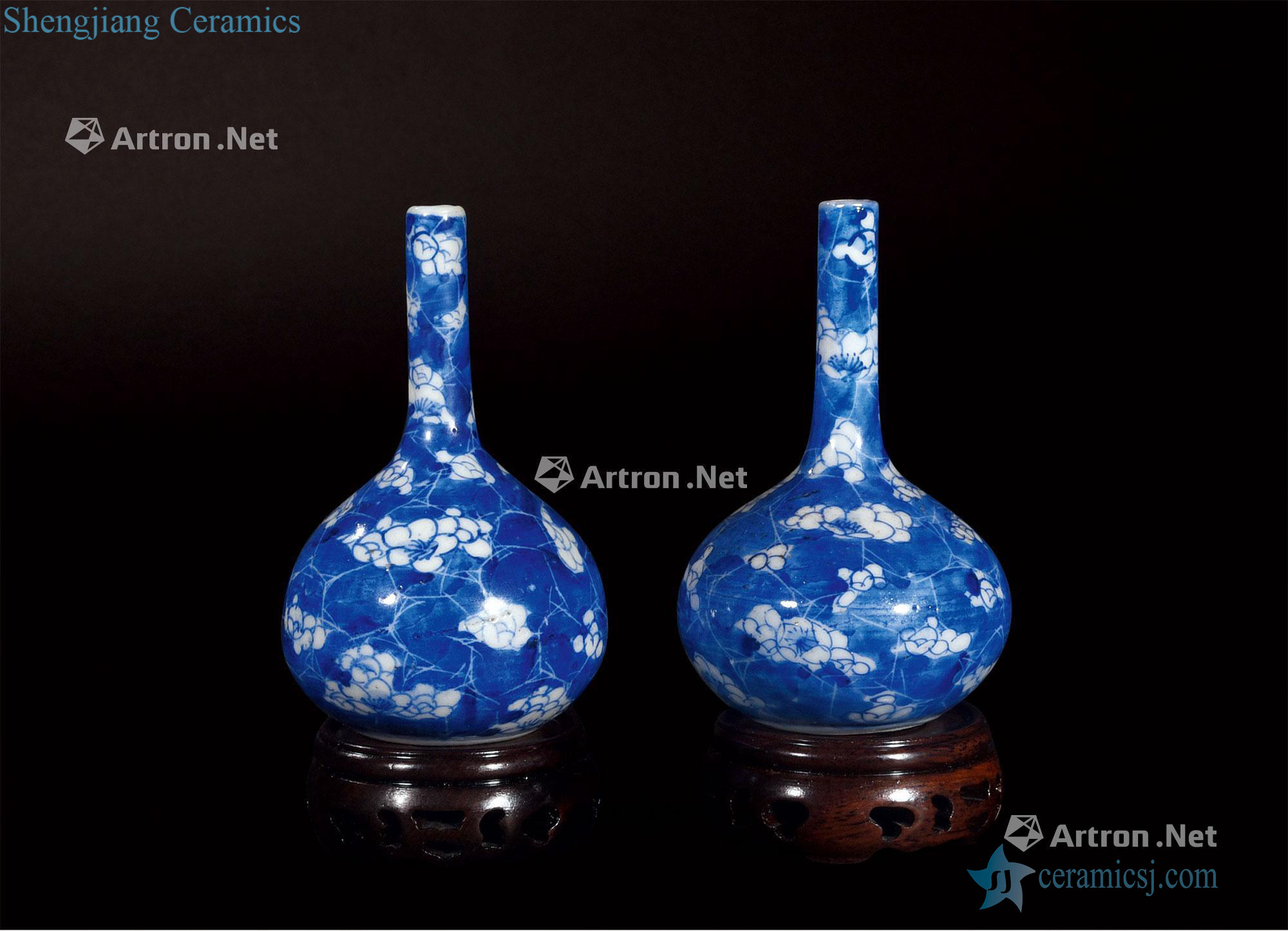 qing Blue and white ice MeiWen flask (a)