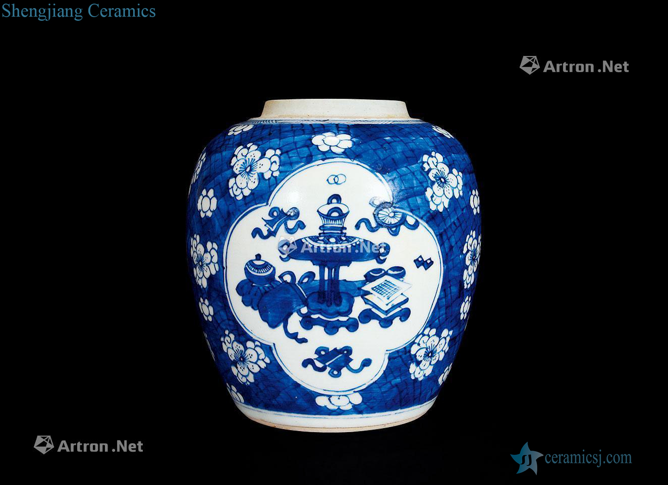 The qing emperor kangxi porcelain medallion antique cans