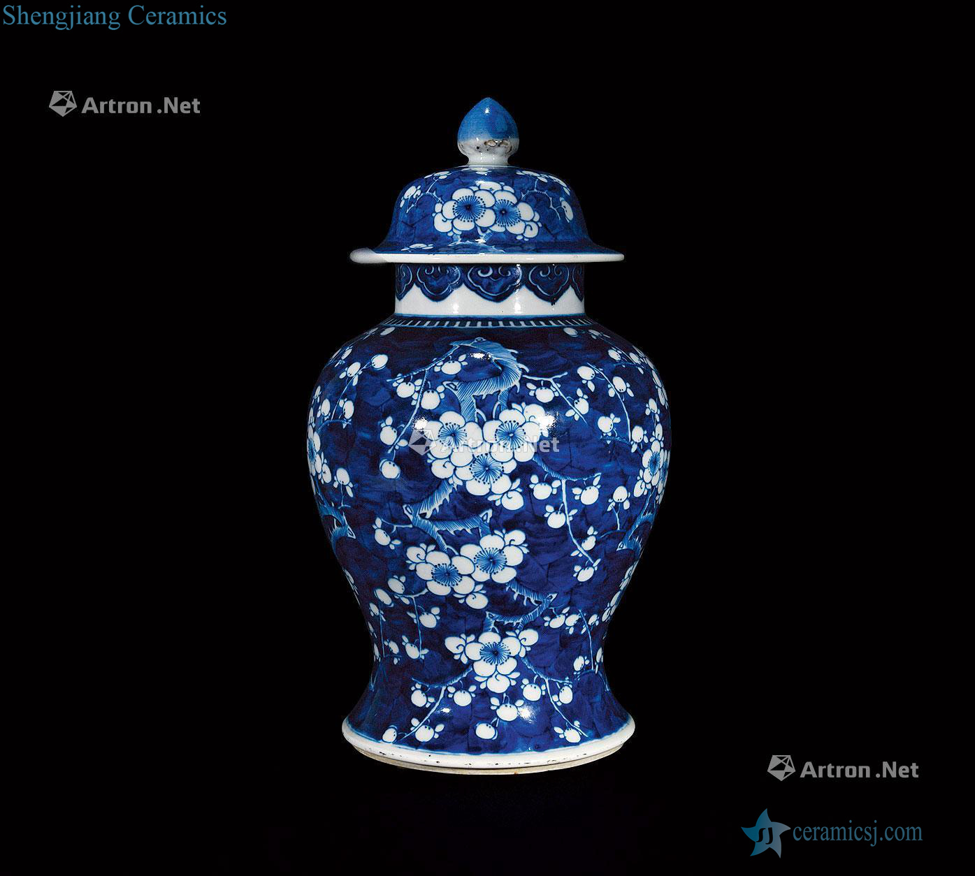 qing Blue and white ice MeiWen general tank