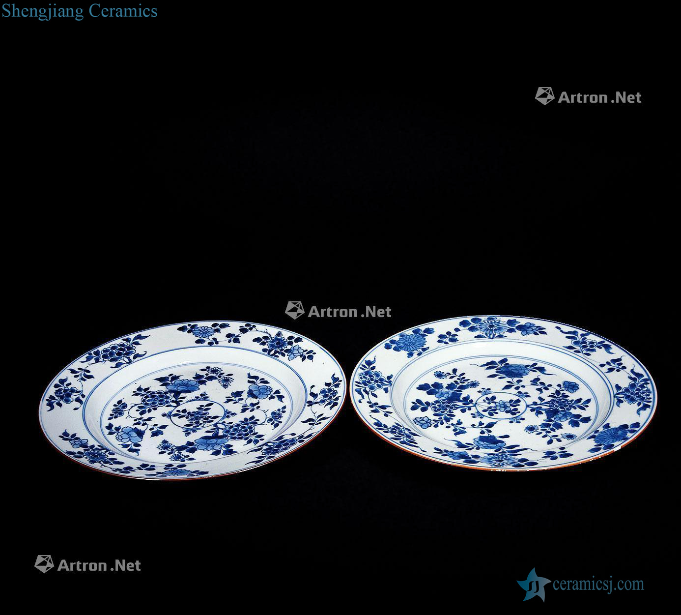 The qing emperor kangxi Blue and white flower plate (a)
