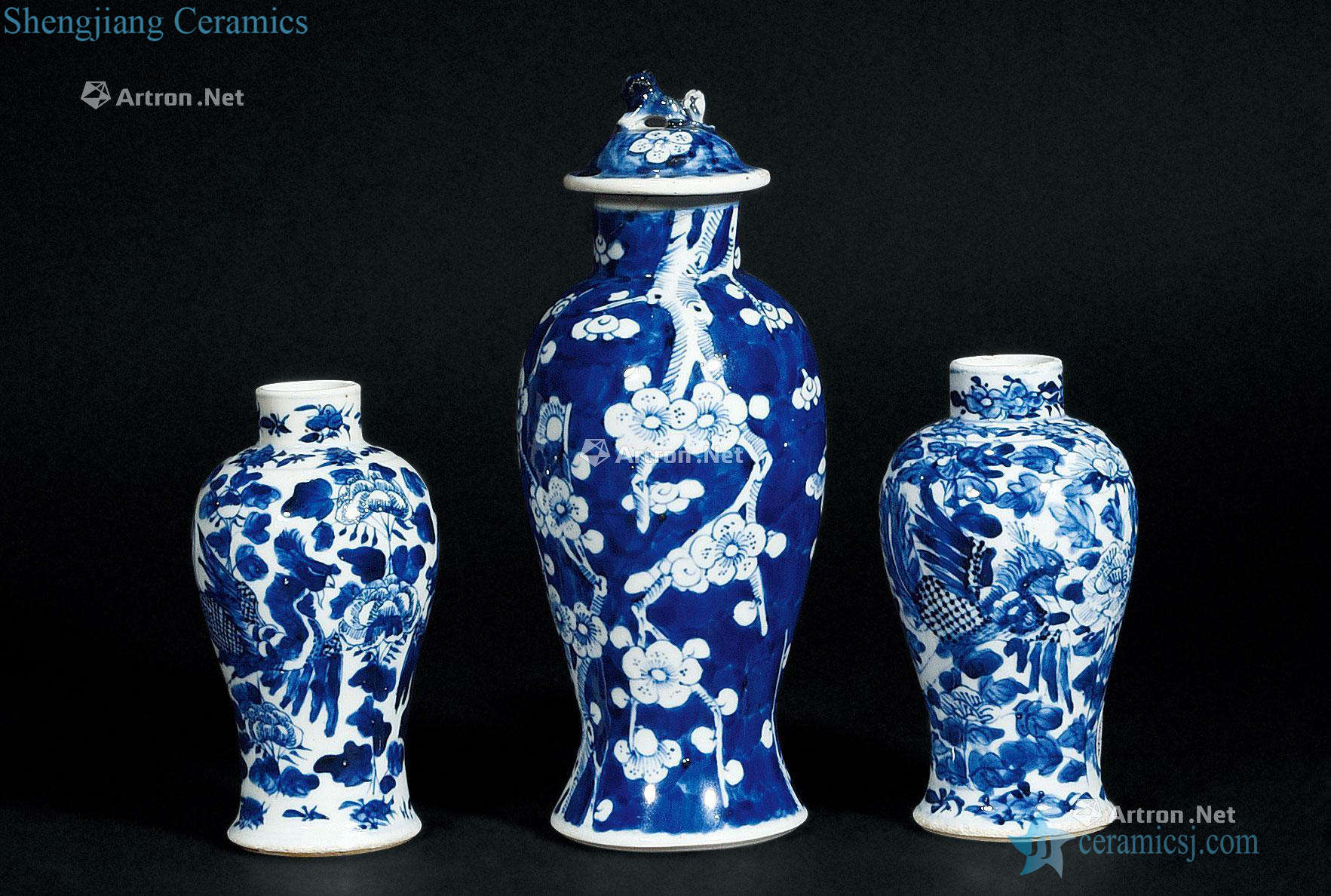 Qing dynasty blue and white plum bottle (group a)