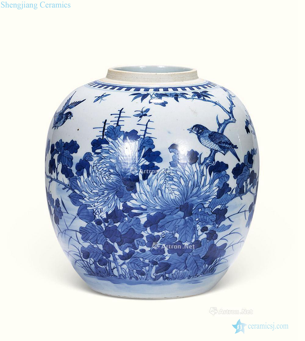 qing Blue and white flowers and birds figure cans