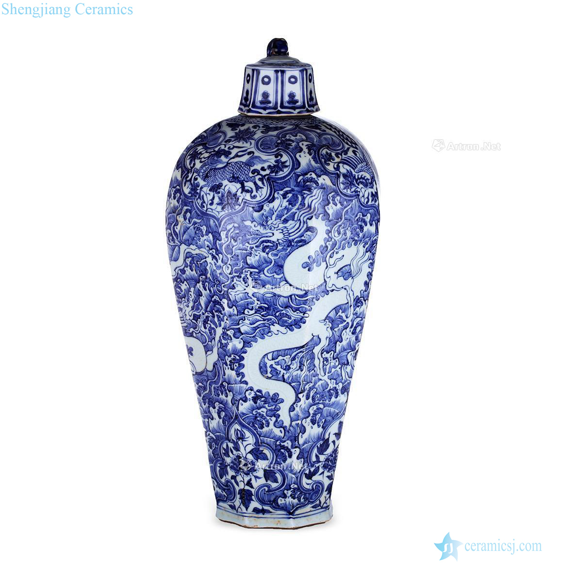 The yuan dynasty Blue and white sea dragon eight arrises with cover bottle