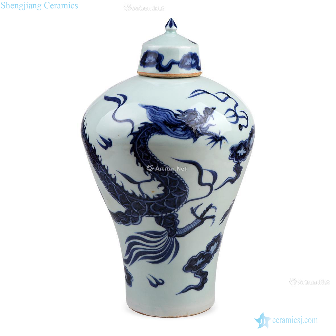 The yuan dynasty Blue and white YunLongWen with cover bottle