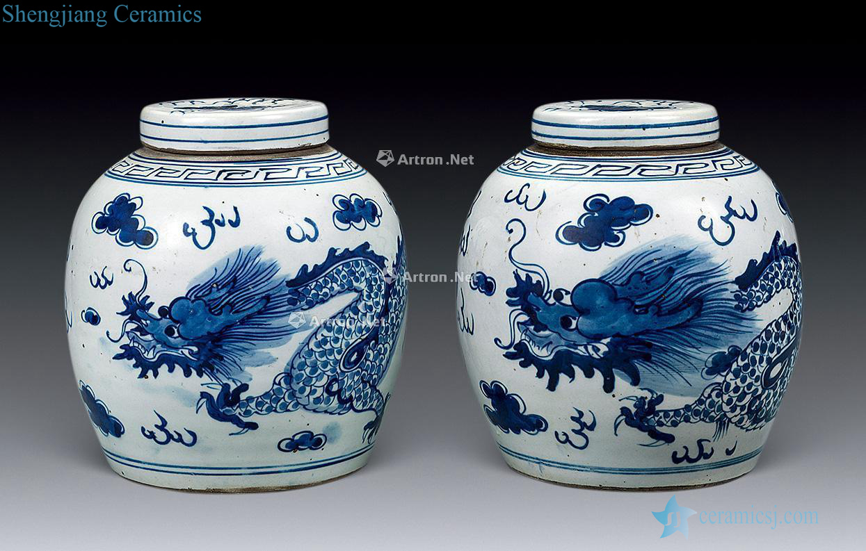 Qing daoguang Blue and white dragon grain storage tank