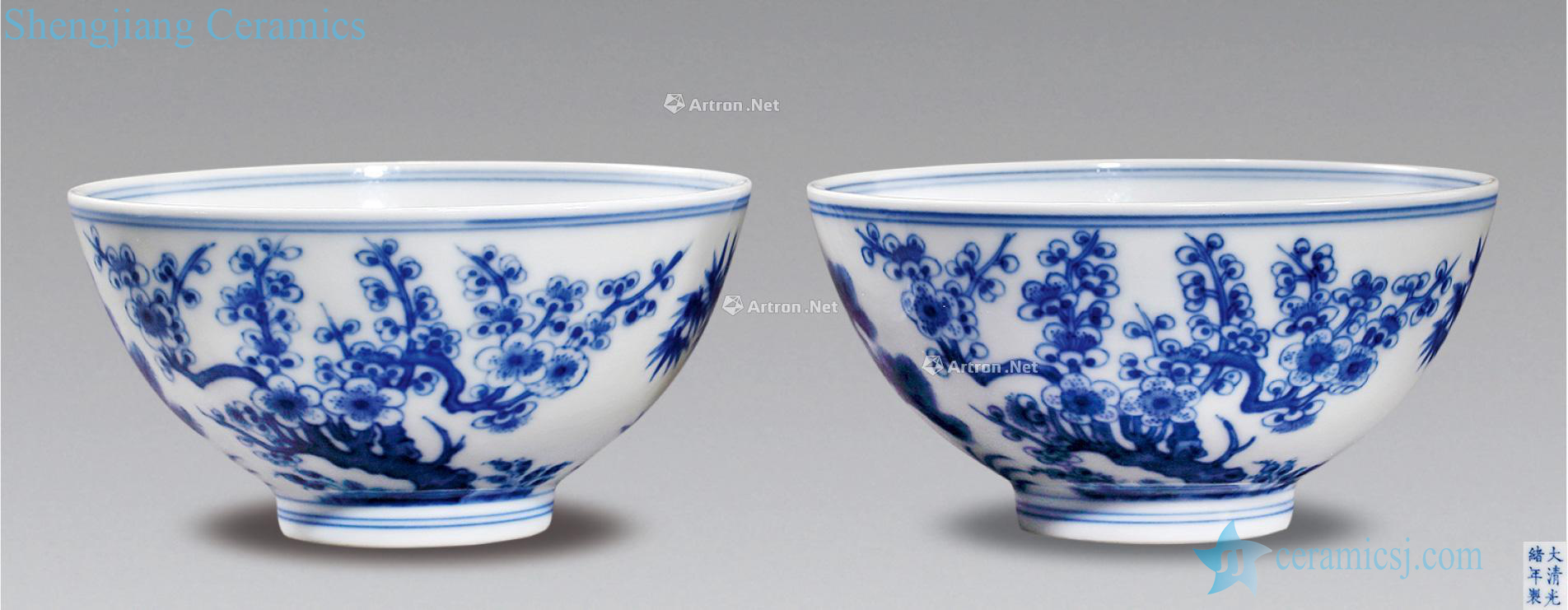 Qing guangxu Blue and white shochiku MeiWen bowl (a)