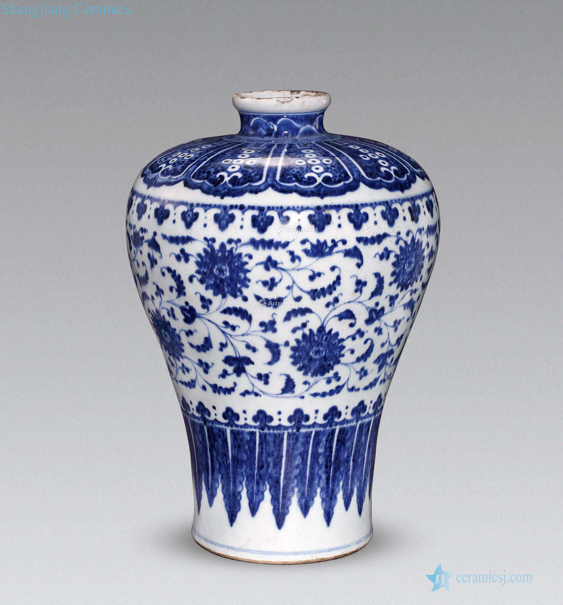 Qing qianlong Blue and white lotus flower plum bottle