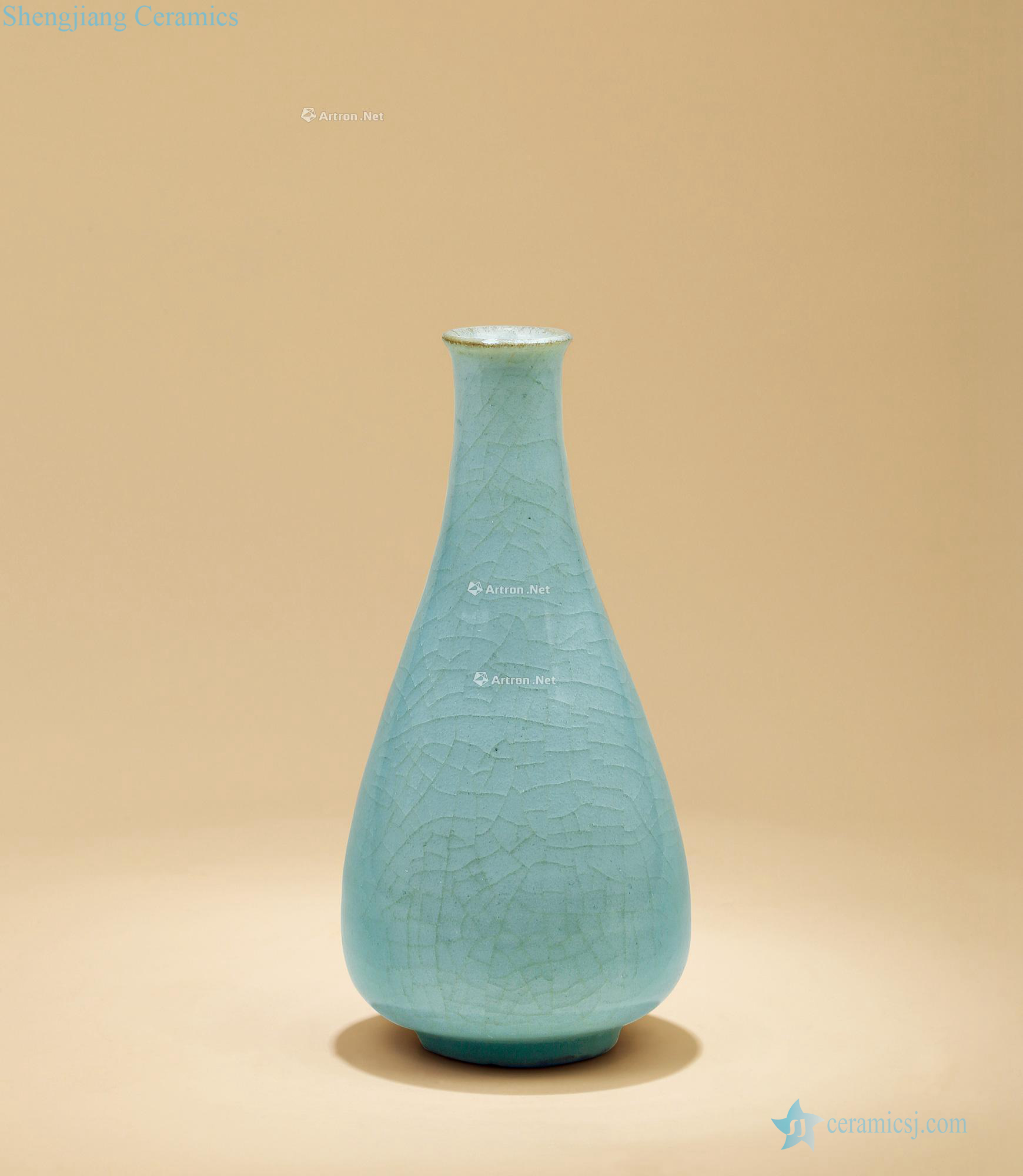 The song dynasty longquan celadon bravery type bottle