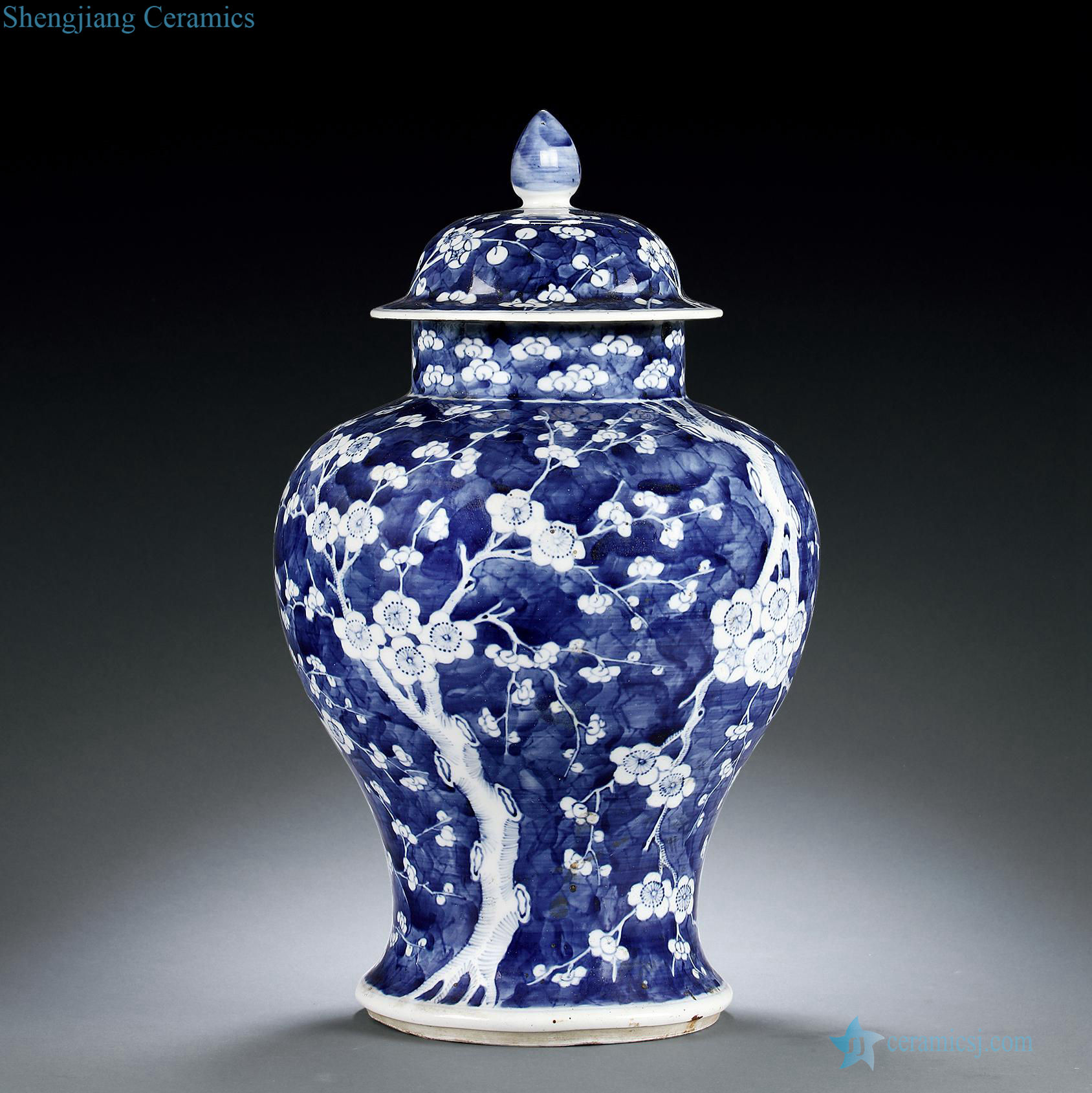 The qing emperor kangxi Blue and white ice plum the general tank