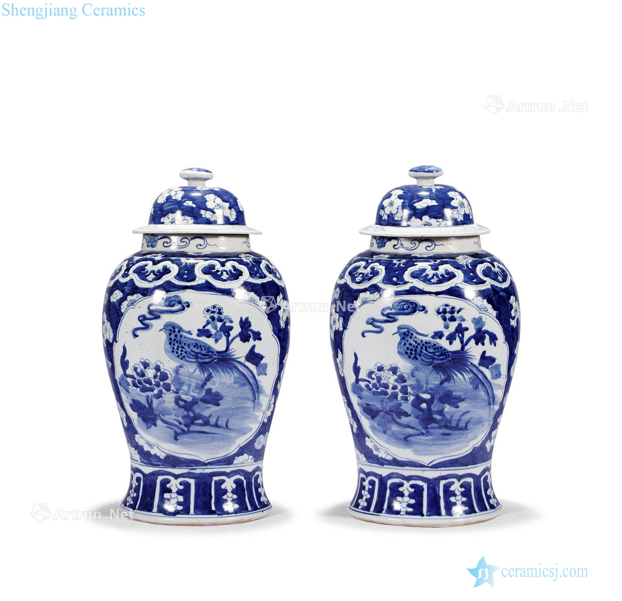 Qing qianlong medallion flower-and-bird grain general canister (a)