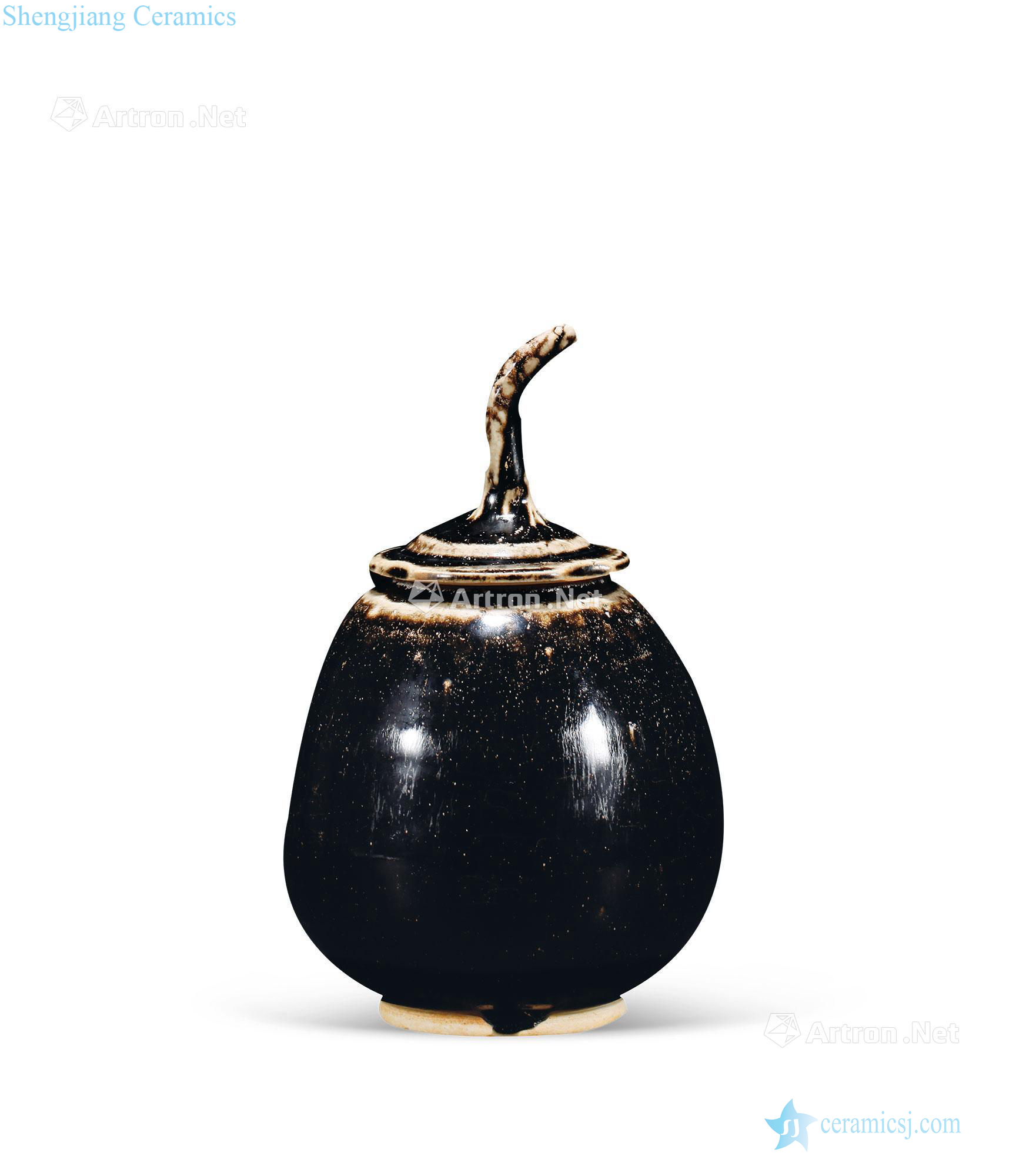 Ming The black glaze eggplant tank