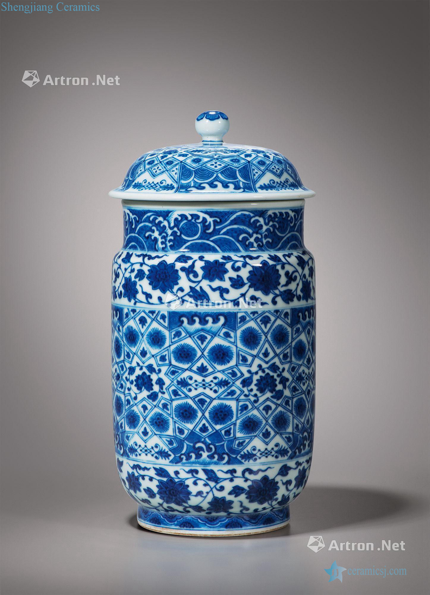 Qing qianlong Blue and white flower jin wen zhuang pot