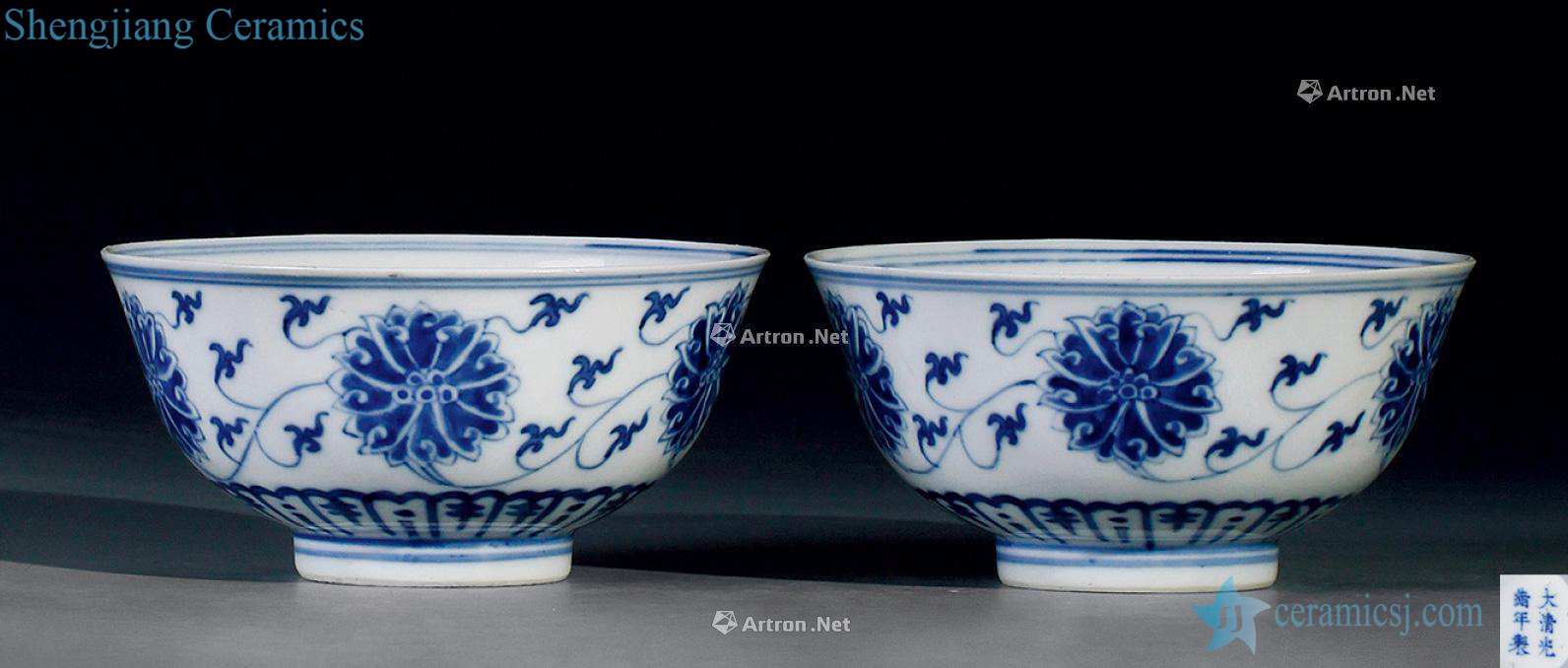 Qing guangxu Blue and white tie up branch lotus green-splashed bowls (a)
