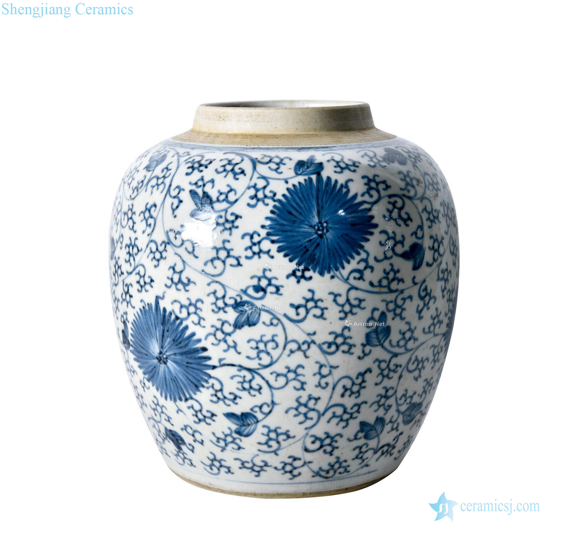In late qing dynasty Blue and white tie up branch tank