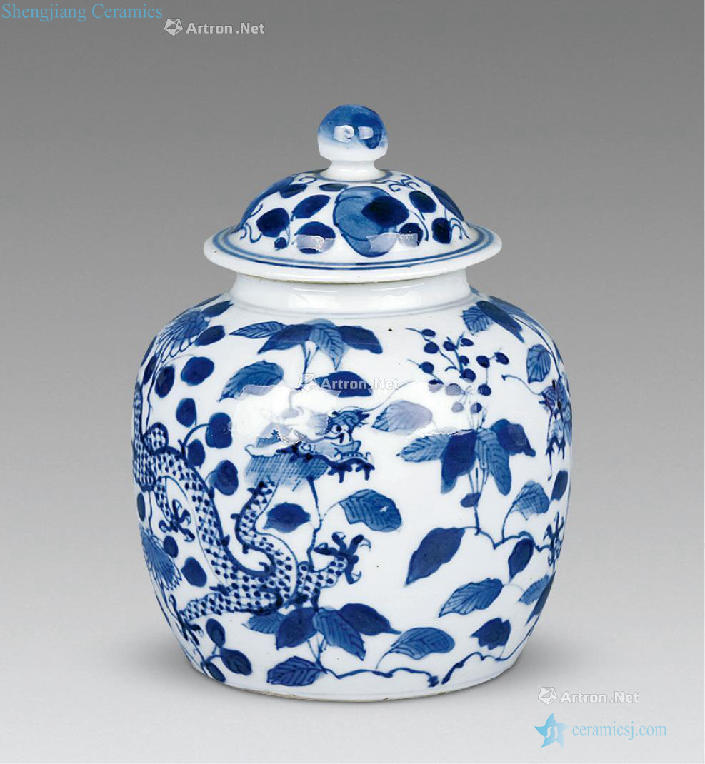 qing Blue and white dragon tea cover tank (a)