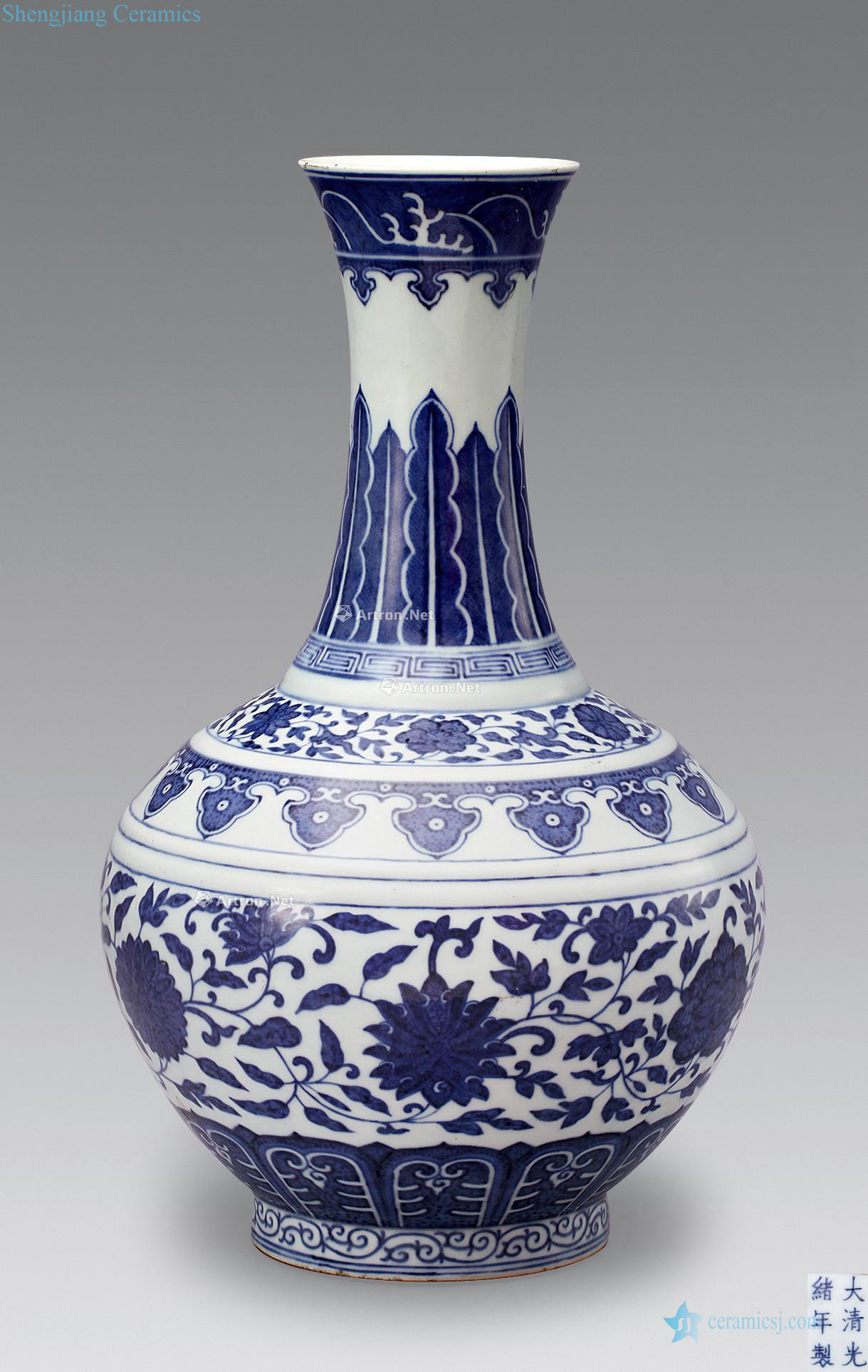 Qing guangxu Blue and white floral bottle wrapped branches