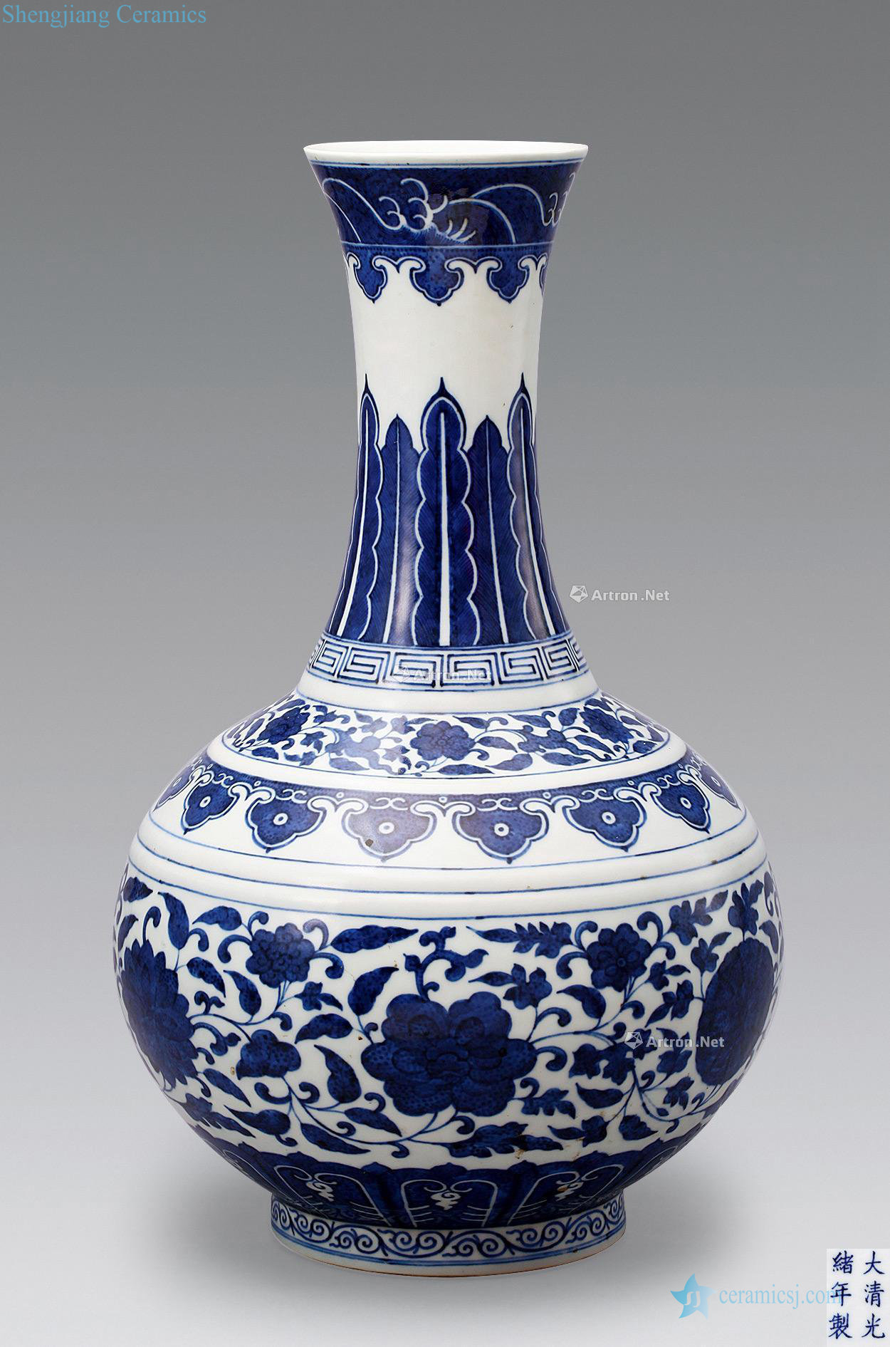 Qing guangxu Blue and white floral bottle wrapped branches