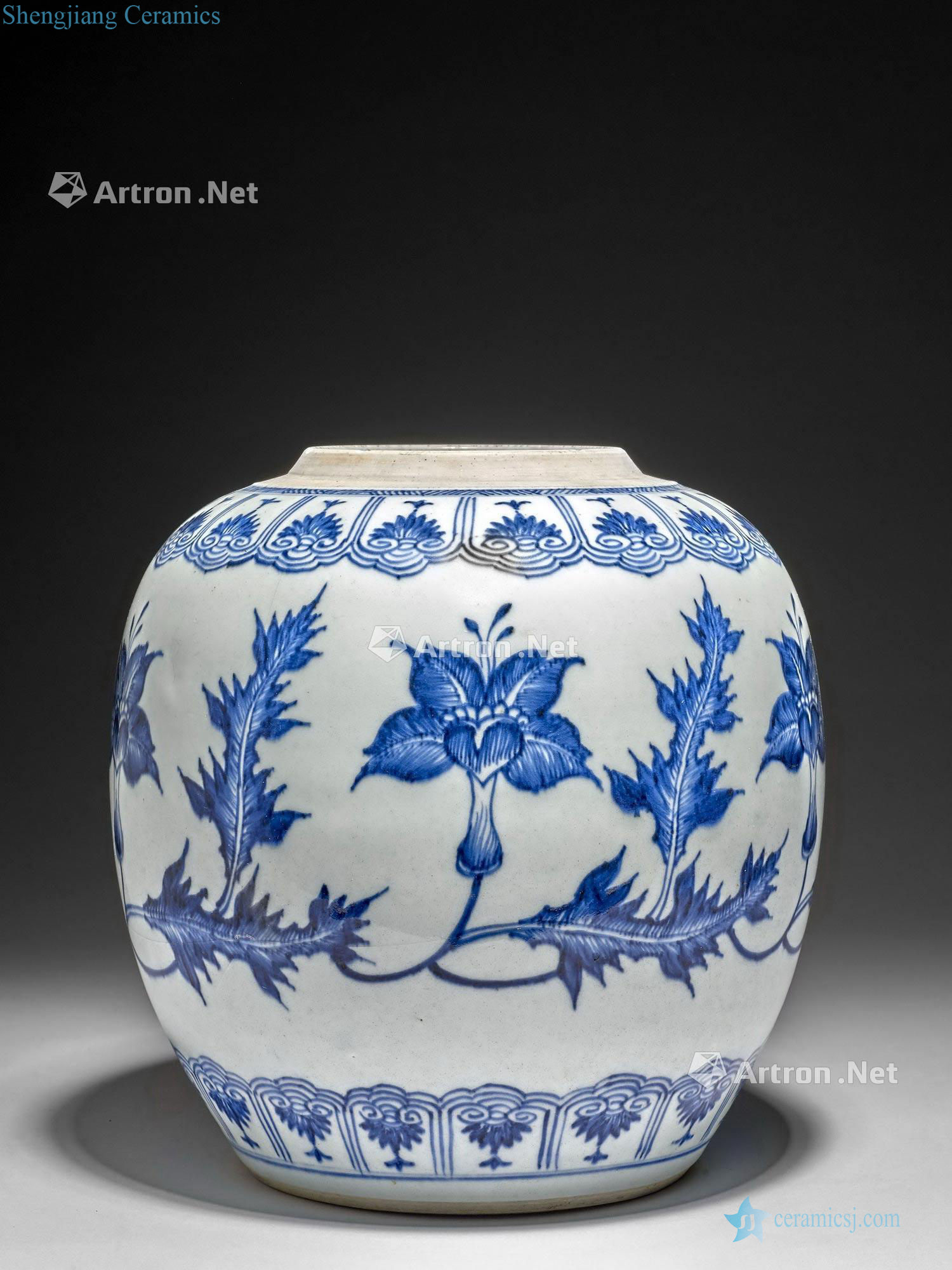 China, the Qing dynasty, Kangxi period (1662-1722), A blue and white porcelain jar