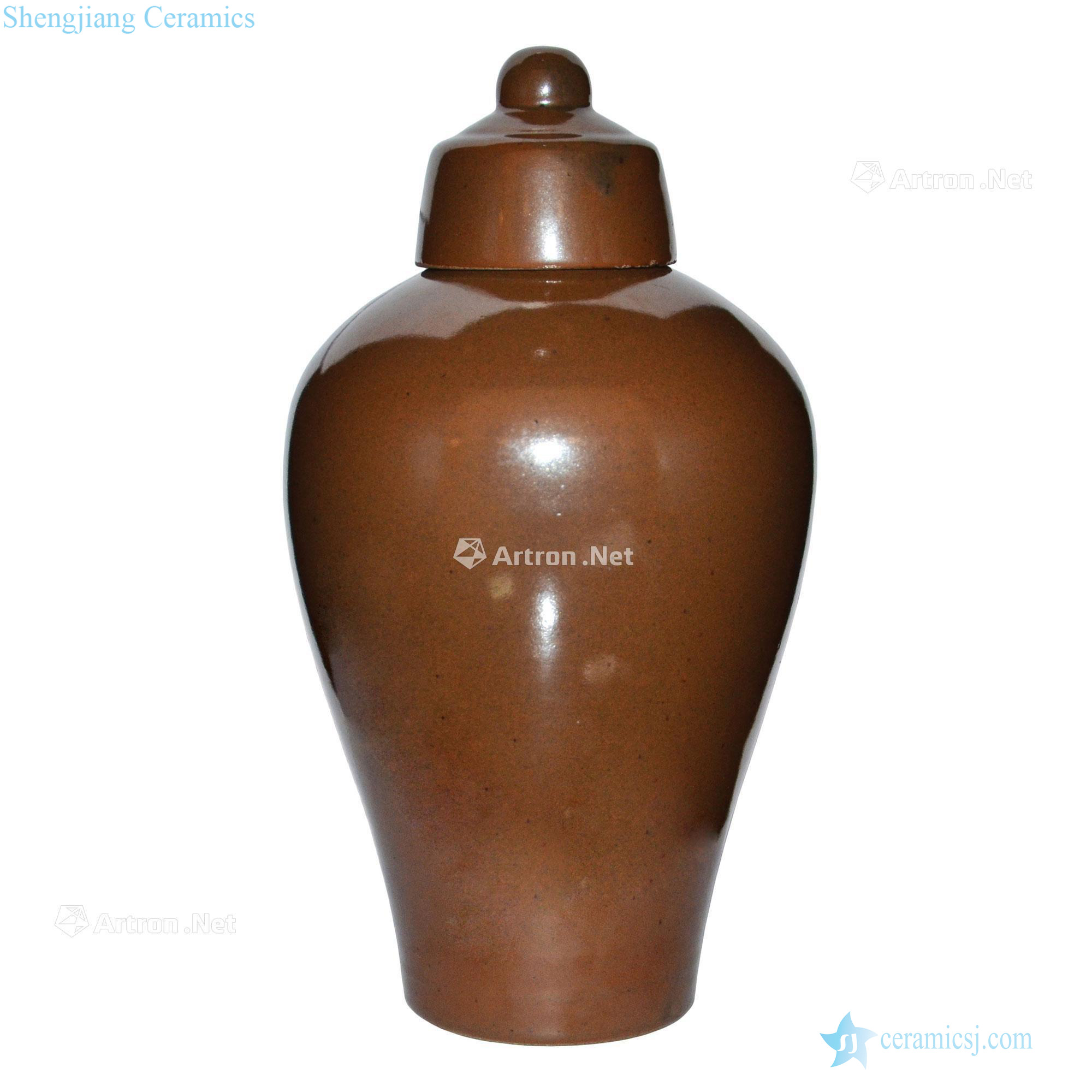 Song to build kilns zijin glaze with cover bottle