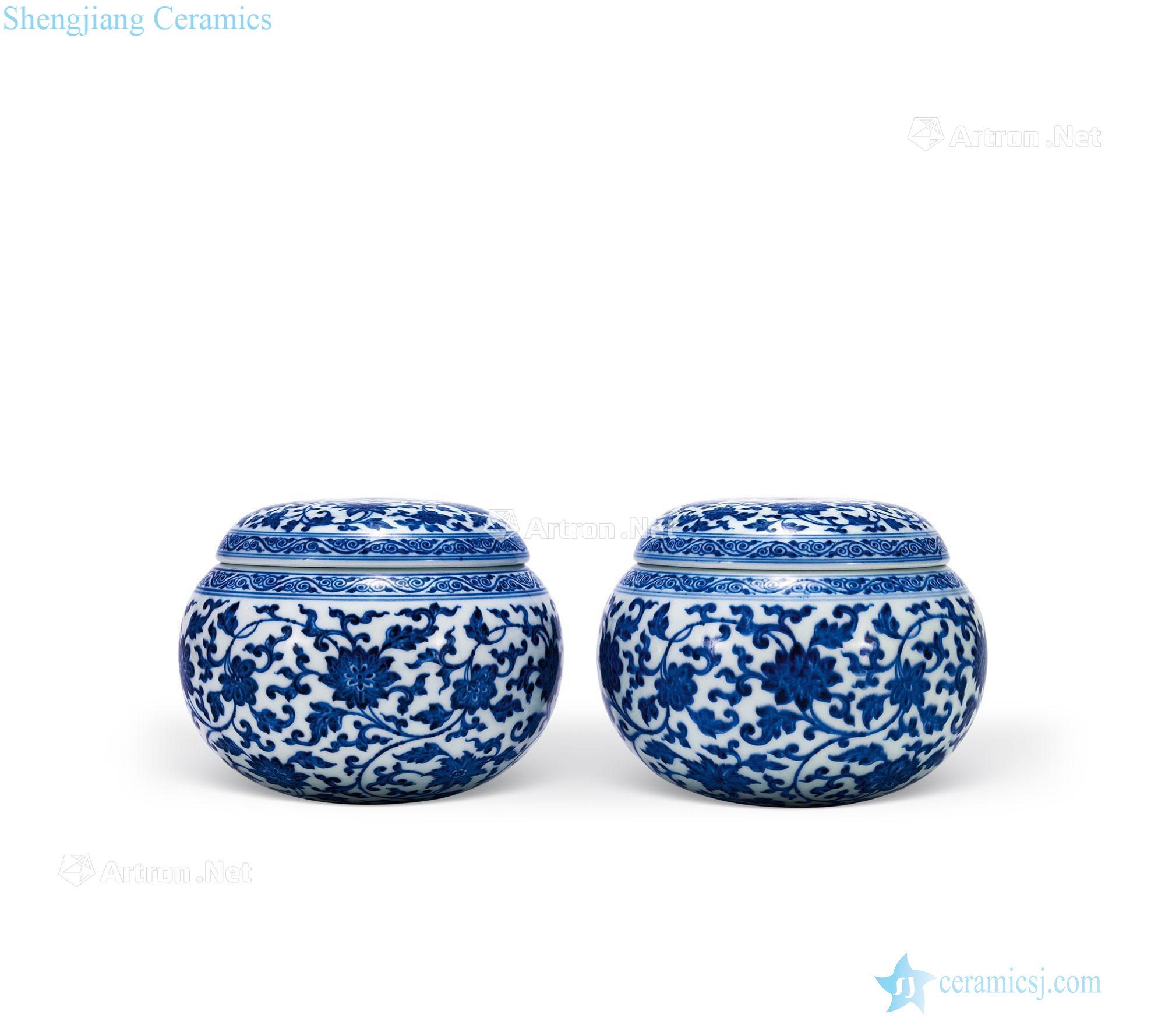 Qing qianlong Blue and white tie up branch flowers lines cover tank (a)
