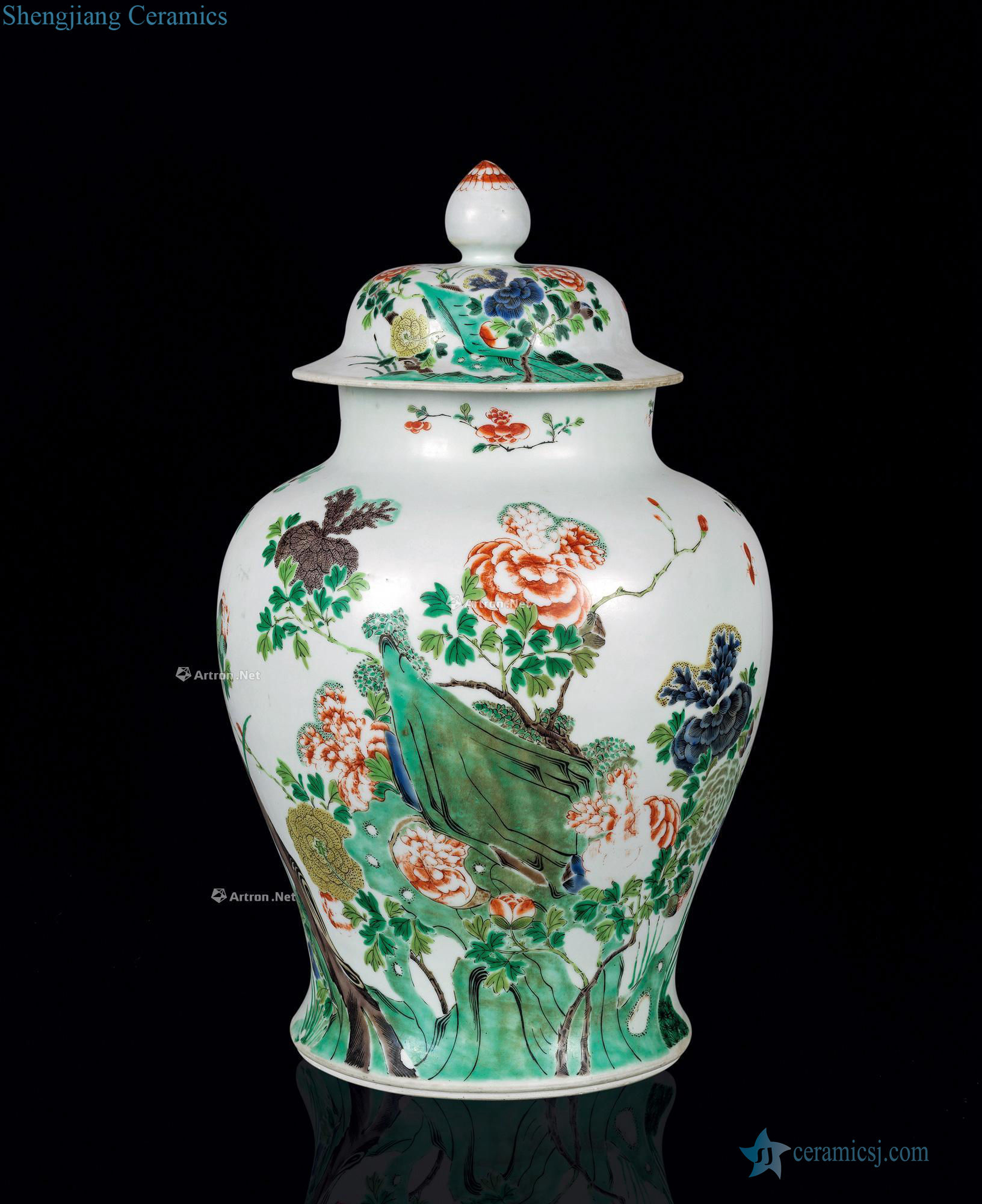 The qing emperor kangxi Colorful flowers and birds lines the general tank